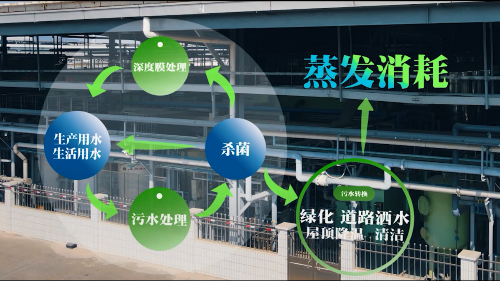 图片 5.png