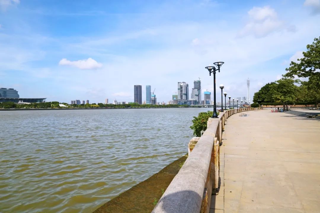 _MG_0745.JPG